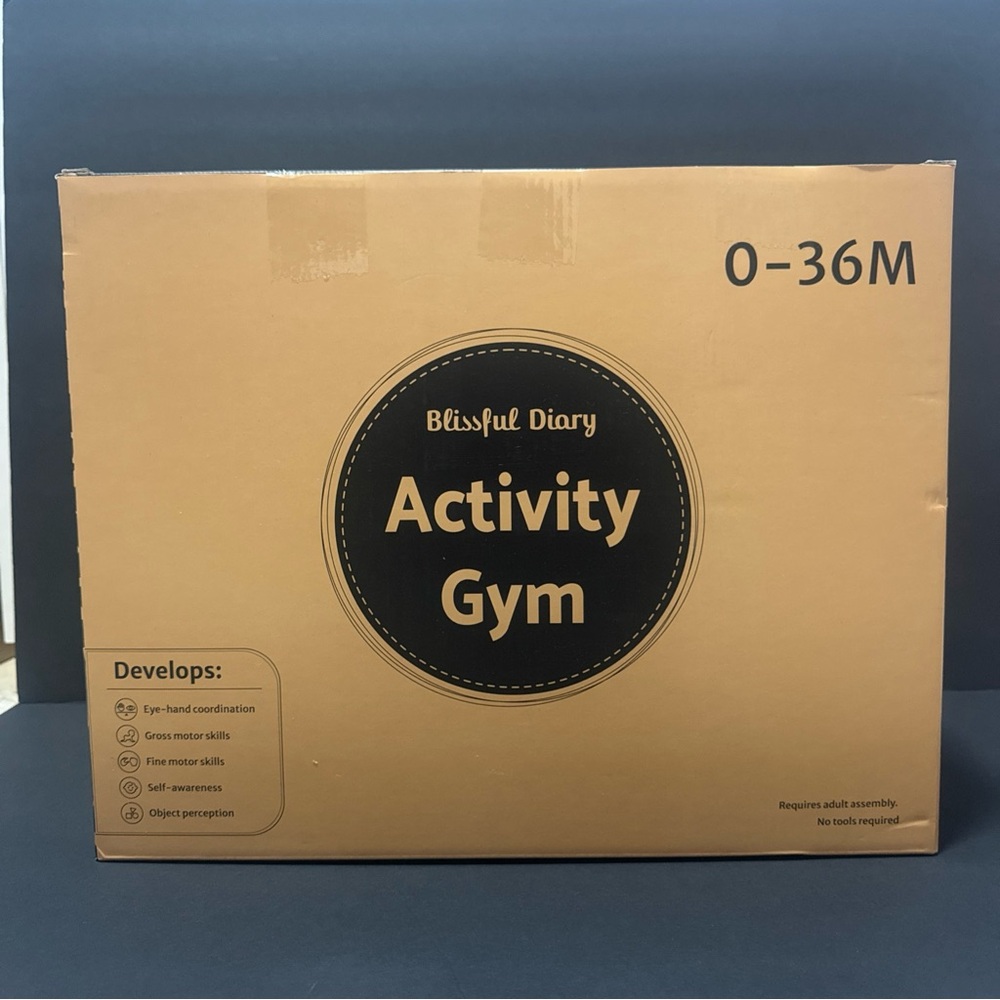 Blissful Diary Activity Gym